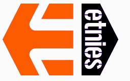 Etnies.jpg